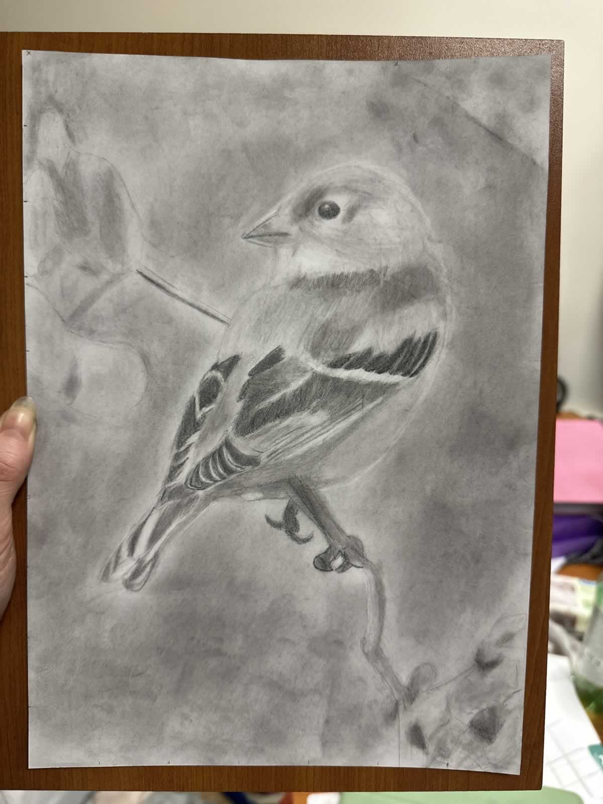 Grafit_rajztanfolyam-Dunaujvaros-2025-01-05_09