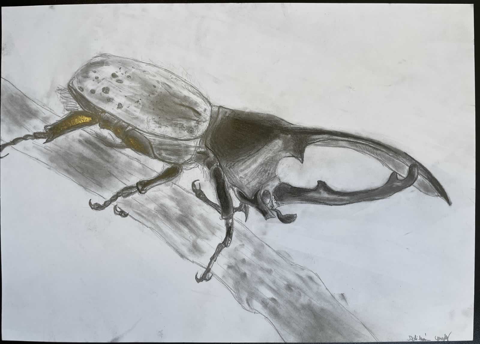 Grafit_rajztanfolyam-Eger-2025-12-06_04