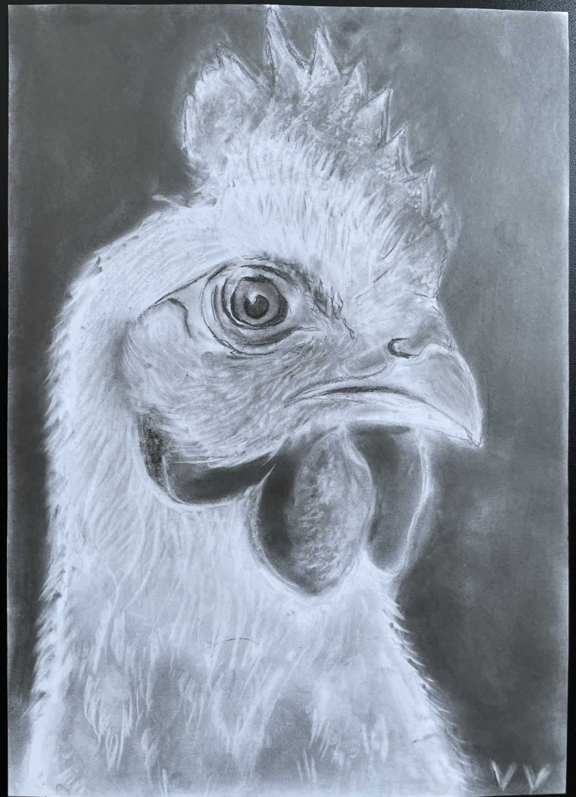 Grafit_rajztanfolyam-Eger-2025-12-06_11