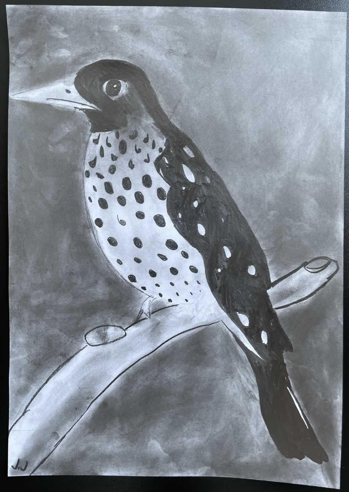 Grafit_rajztanfolyam-Eger-2025-12-06_17