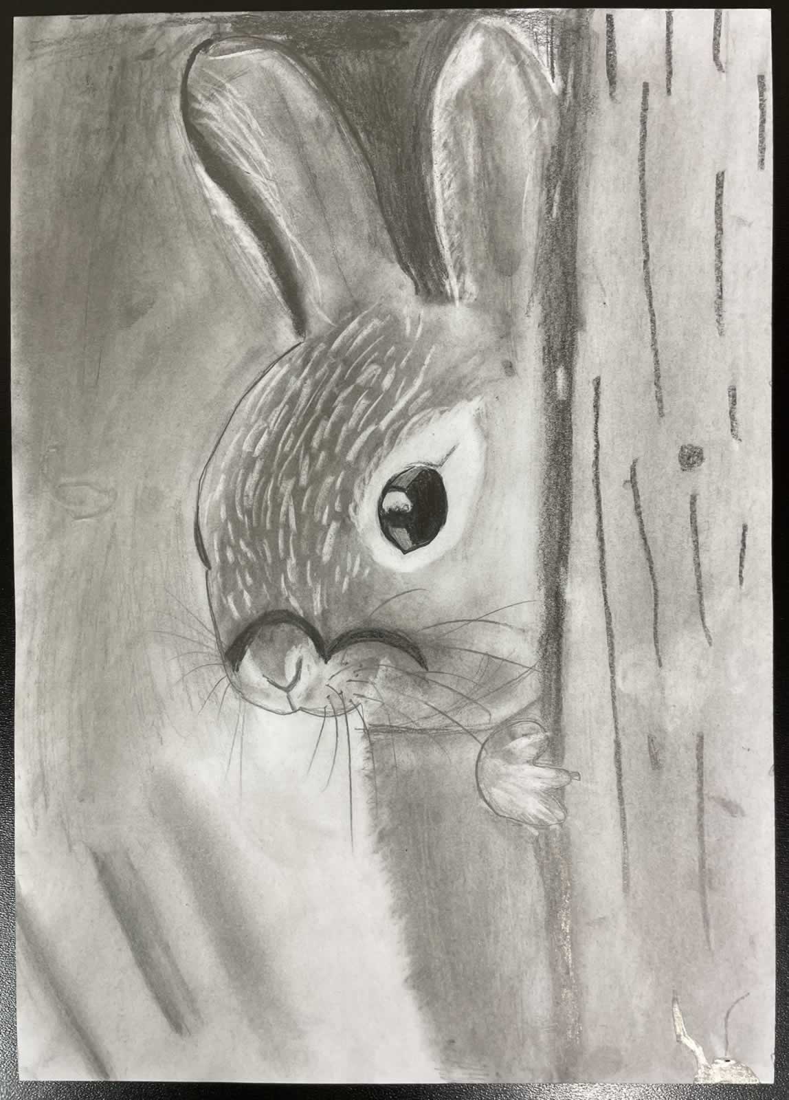 Grafit_rajztanfolyam-Veszprem-2025-11-29_01