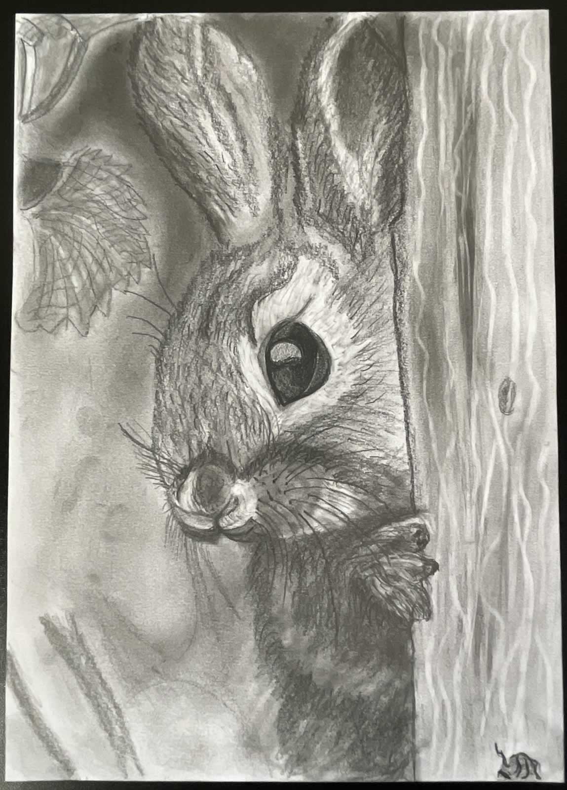 Grafit_rajztanfolyam-Veszprem-2025-11-29_04