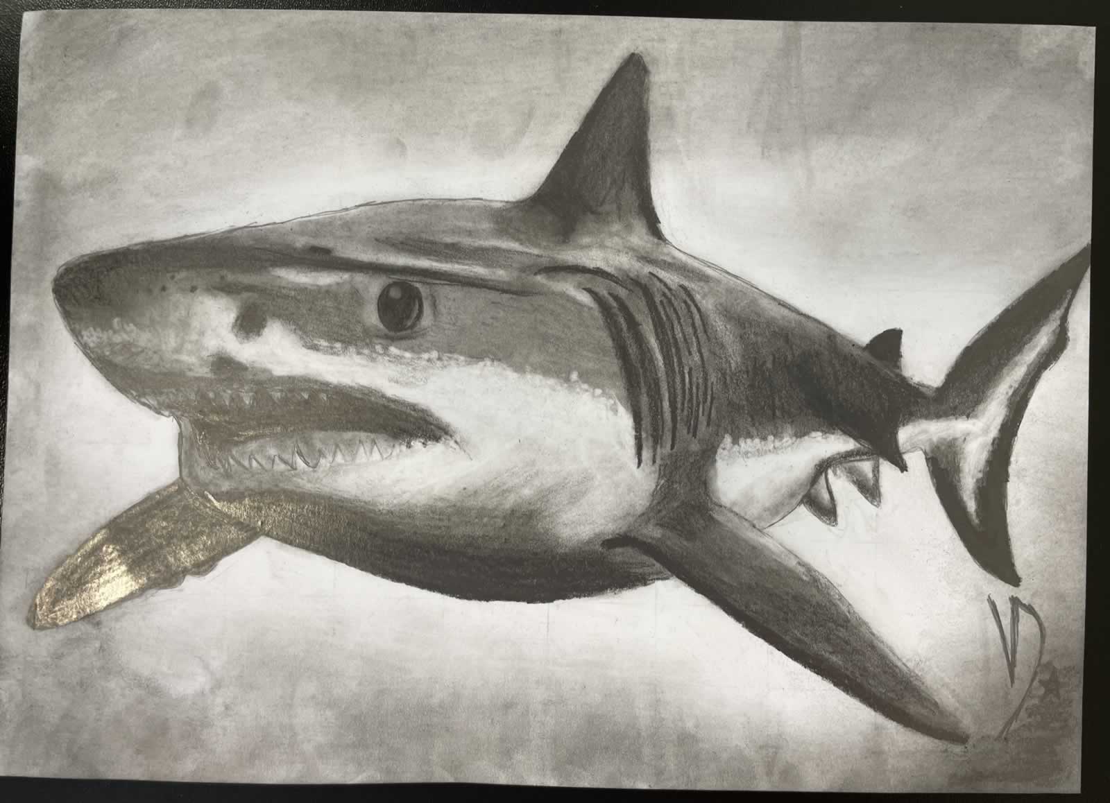 Grafit_rajztanfolyam-Veszprem-2025-11-29_06