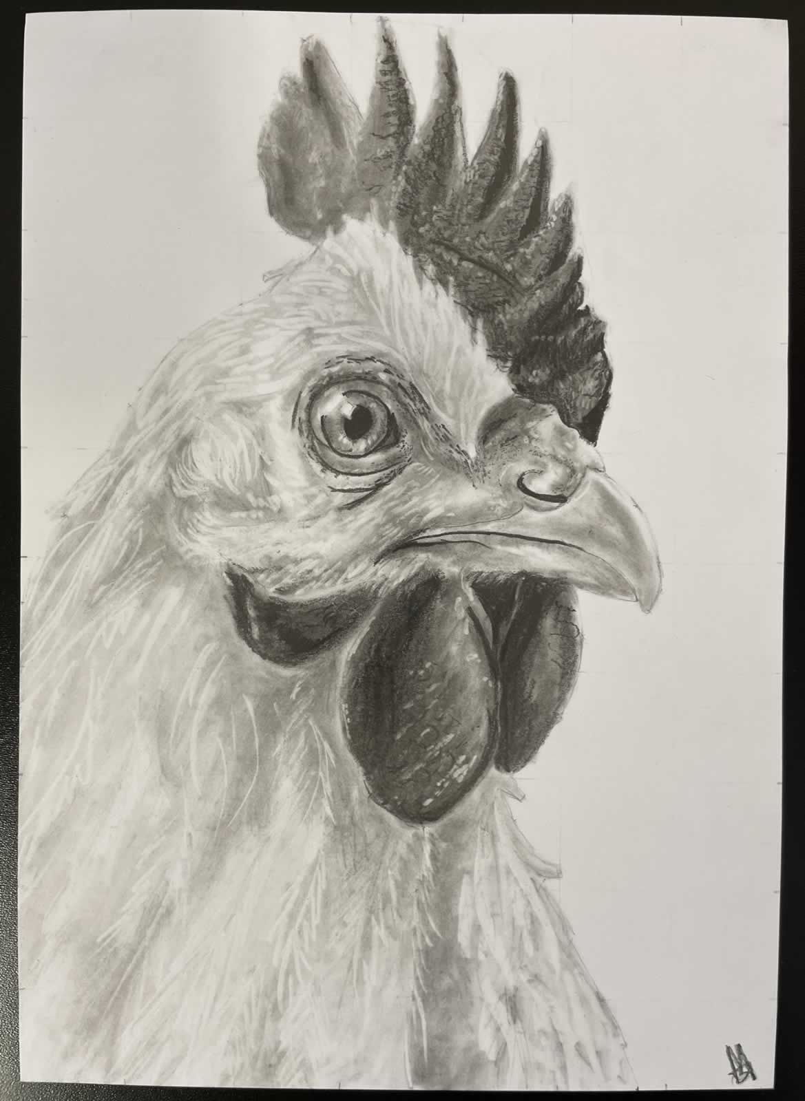 Grafit_rajztanfolyam-Veszprem-2025-11-29_08