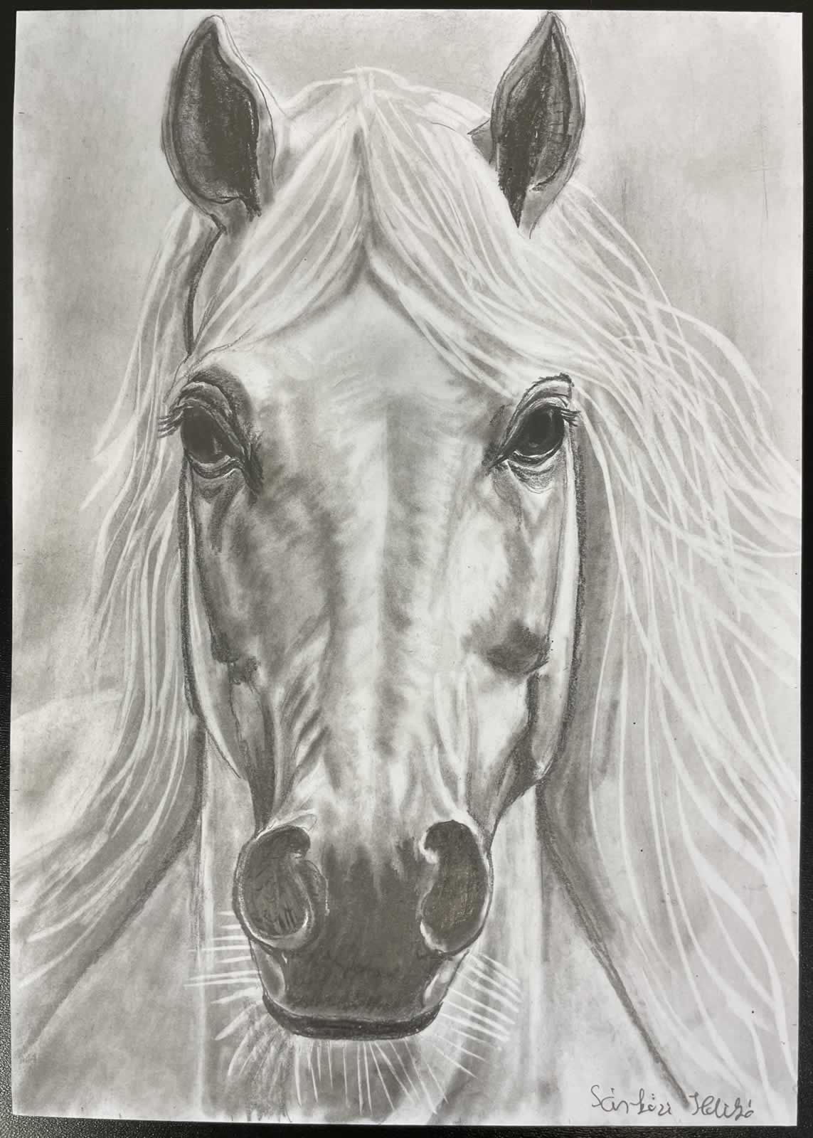 Grafit_rajztanfolyam-Veszprem-2025-11-29_11