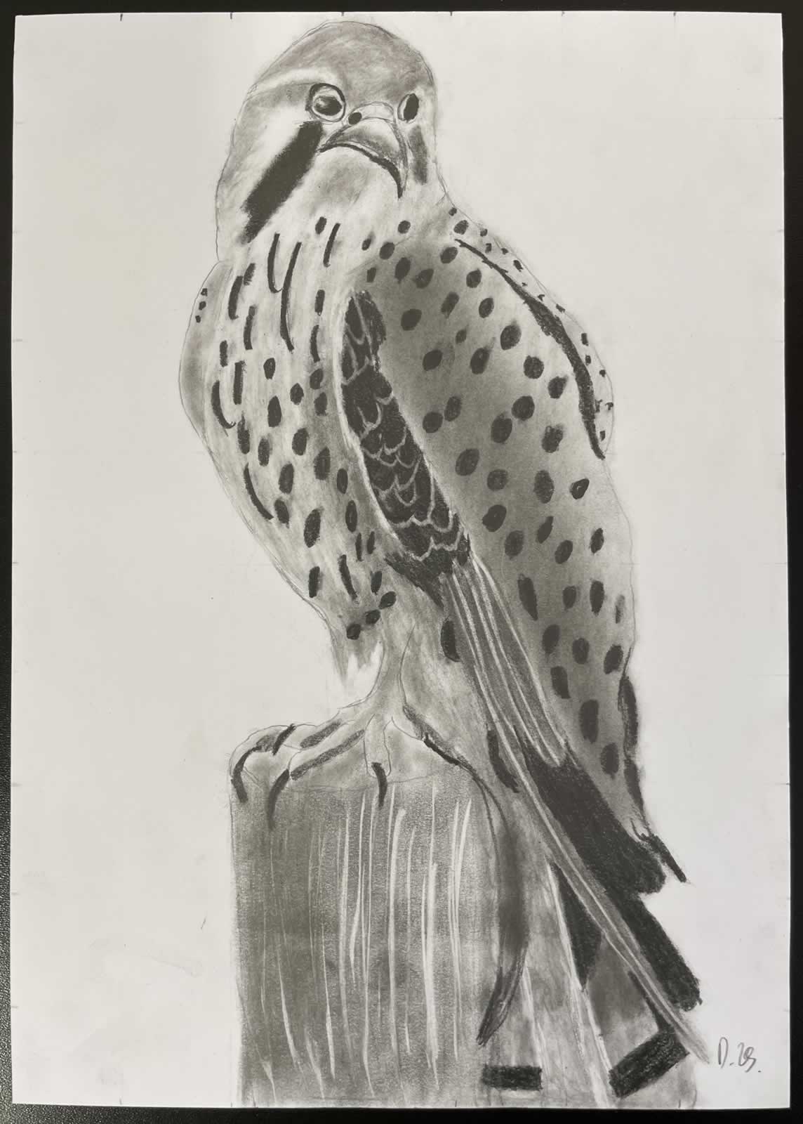 Grafit_rajztanfolyam-Veszprem-2025-11-29_12