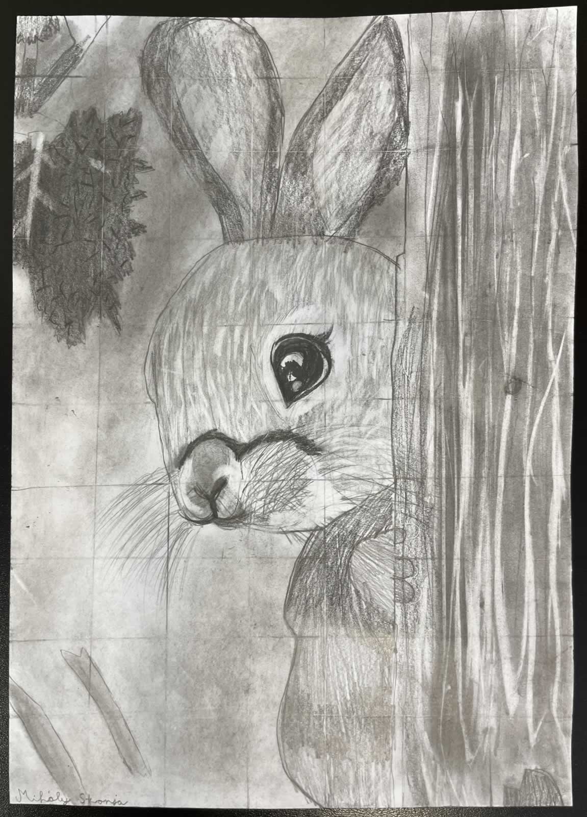 Grafit_rajztanfolyam-Veszprem-2025-11-29_17