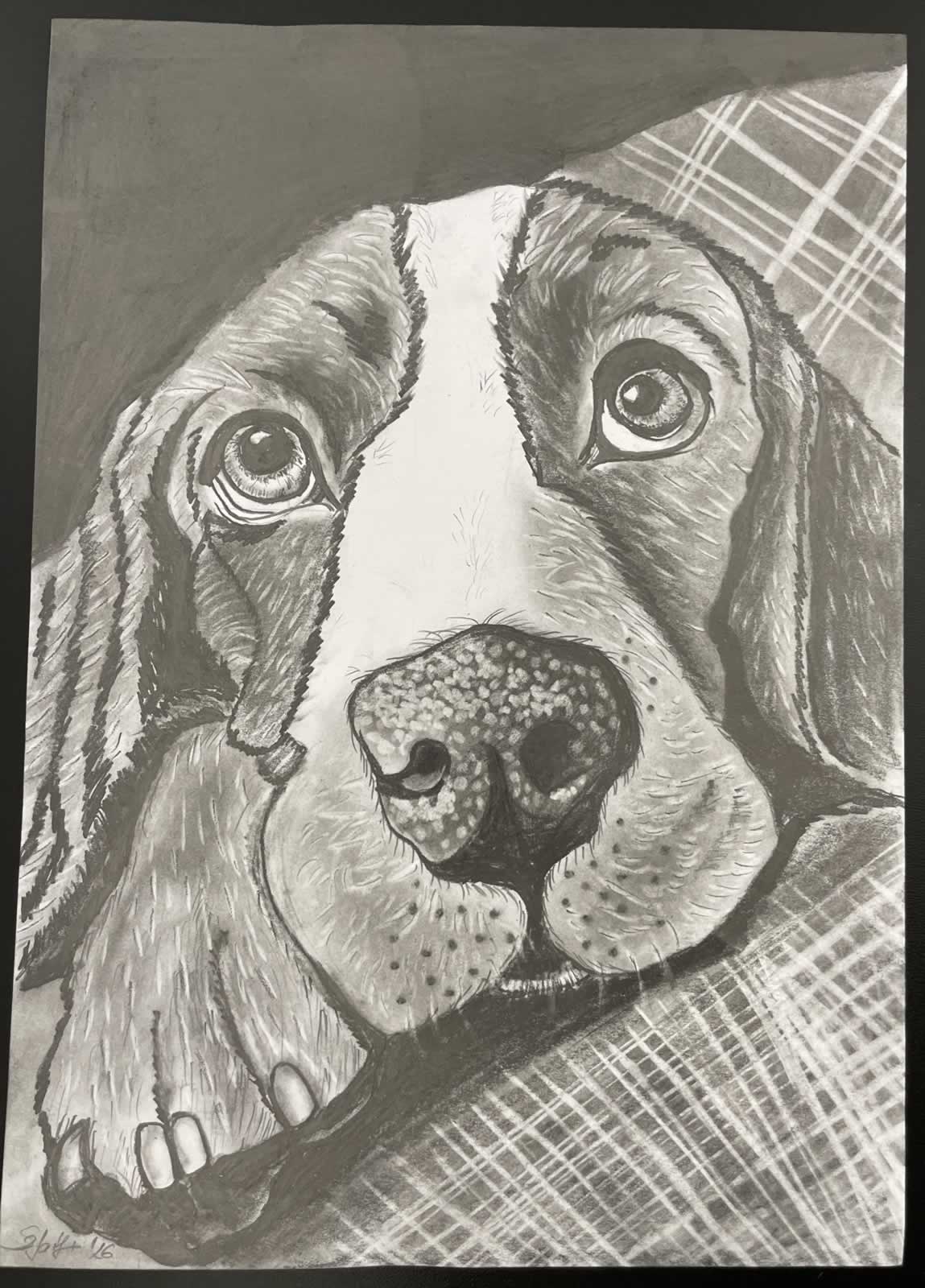 Grafit_rajztanfolyam-Angyalfold-2026-01-25_04