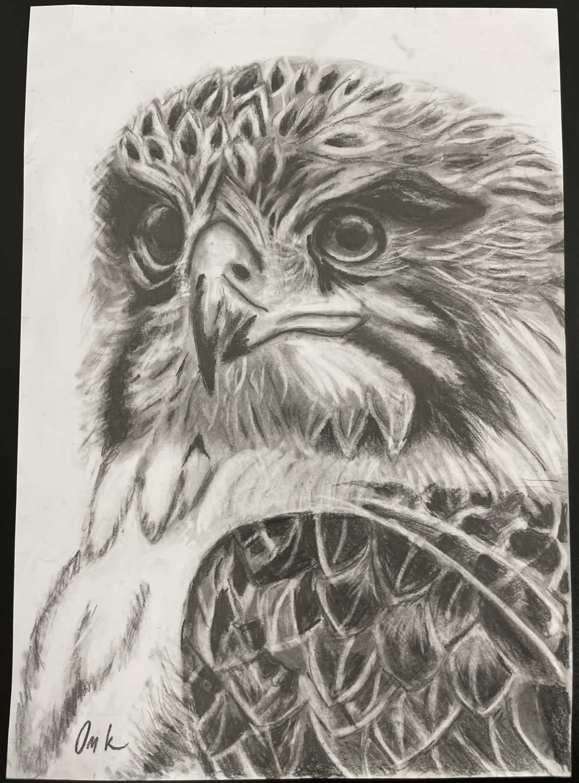 Grafit_rajztanfolyam-Angyalfold-2026-01-25_05