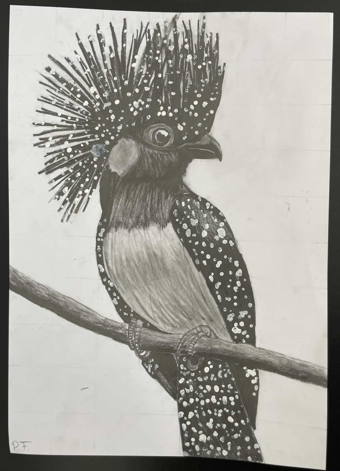 Grafit_rajztanfolyam-Angyalfold-2026-01-25_08