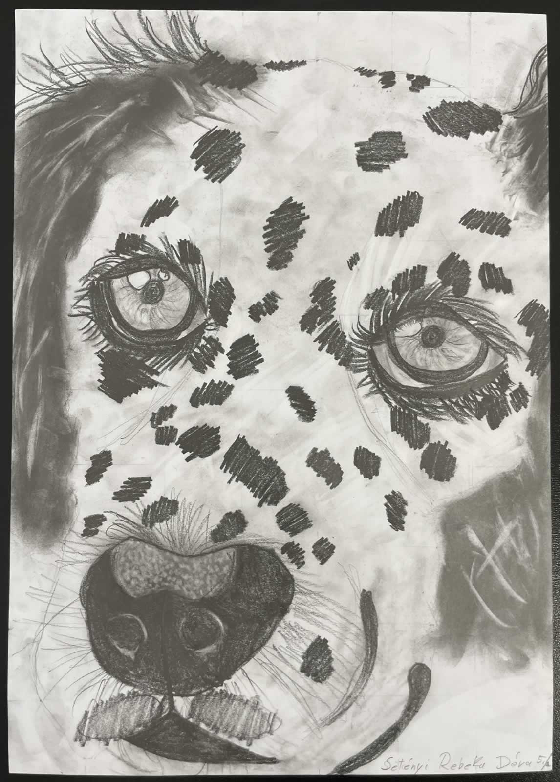 Grafit_rajztanfolyam-Angyalfold-2026-01-25_10