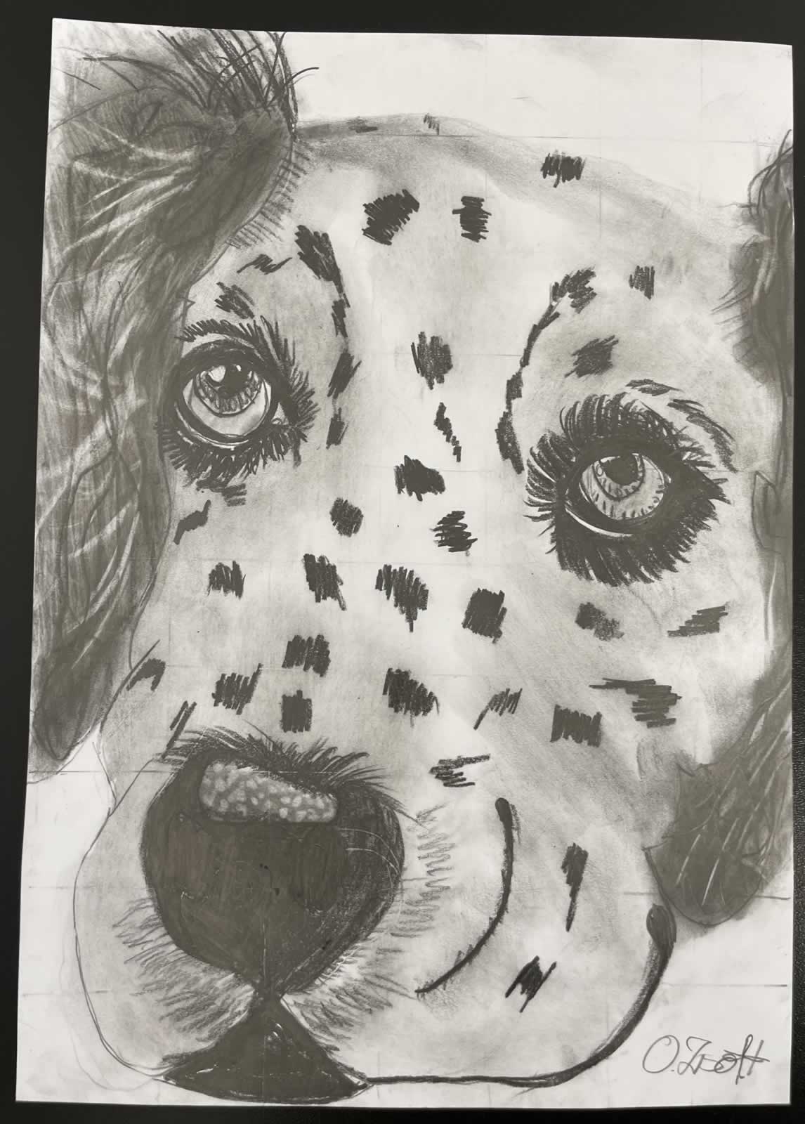 Grafit_rajztanfolyam-Angyalfold-2026-01-25_12