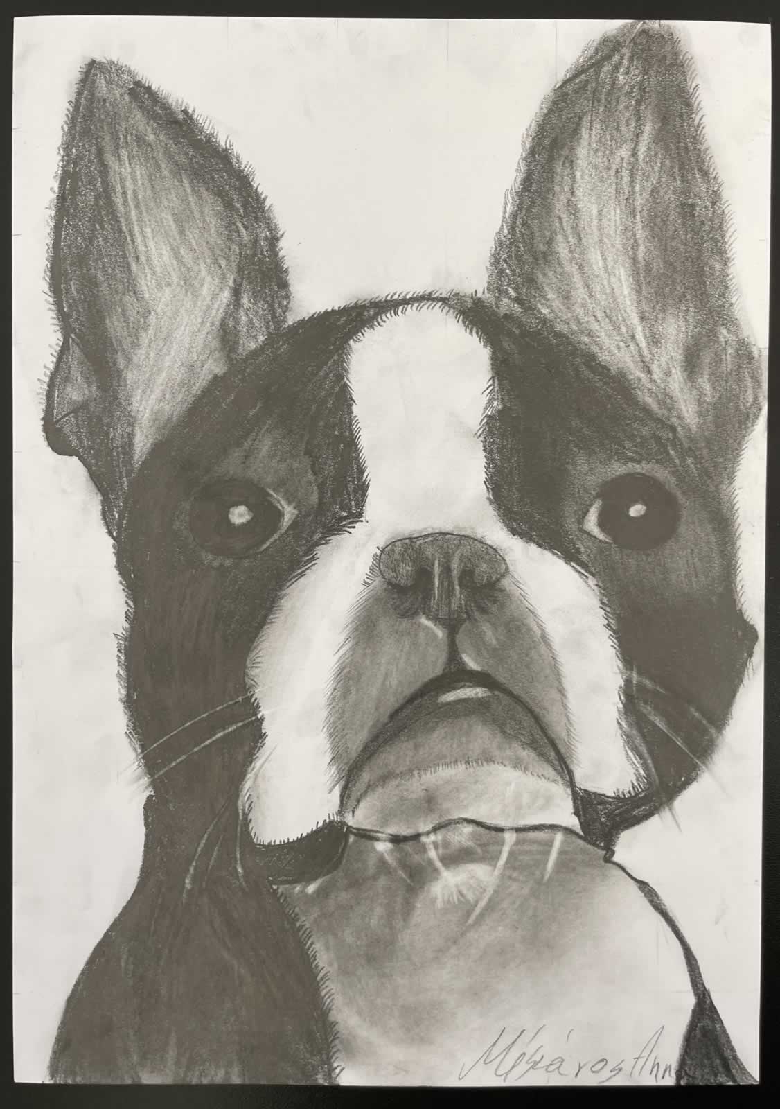 Grafit_rajztanfolyam-Angyalfold-2026-01-25_13