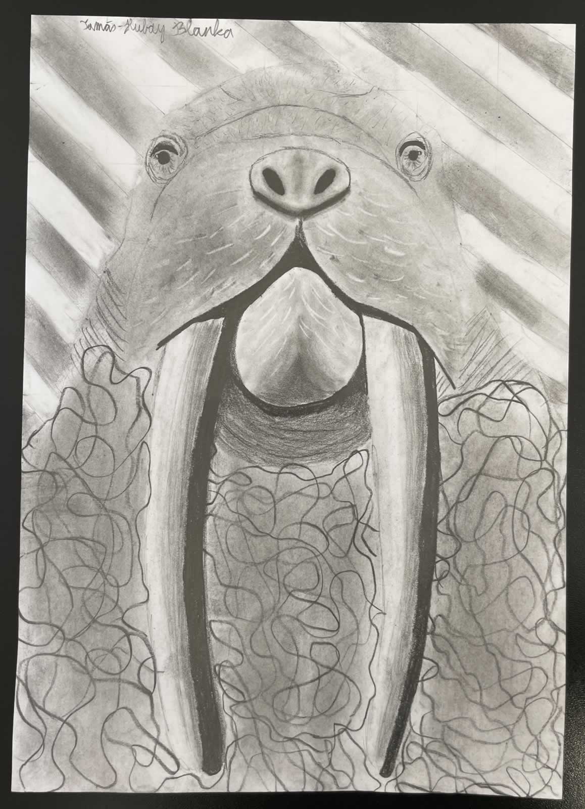 Grafit_rajztanfolyam-Angyalfold-2026-01-25_14