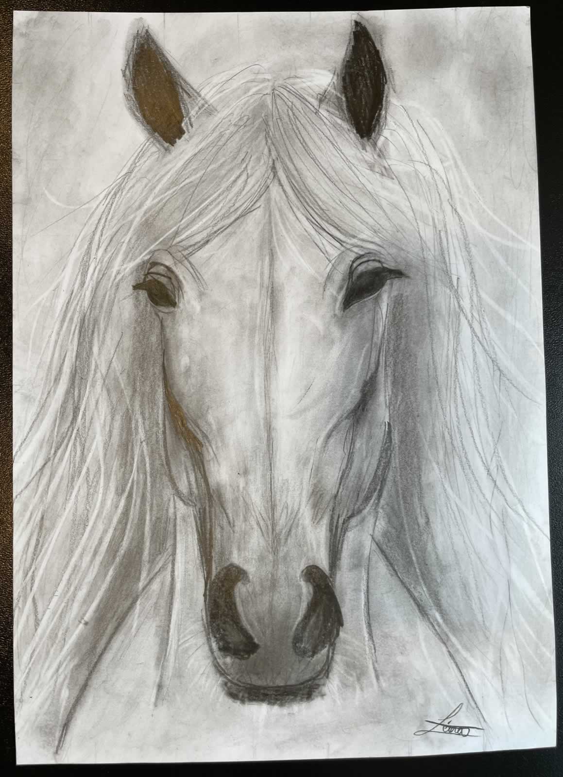 Grafit_rajztanfolyam-Sarvar-2026-01-24_09