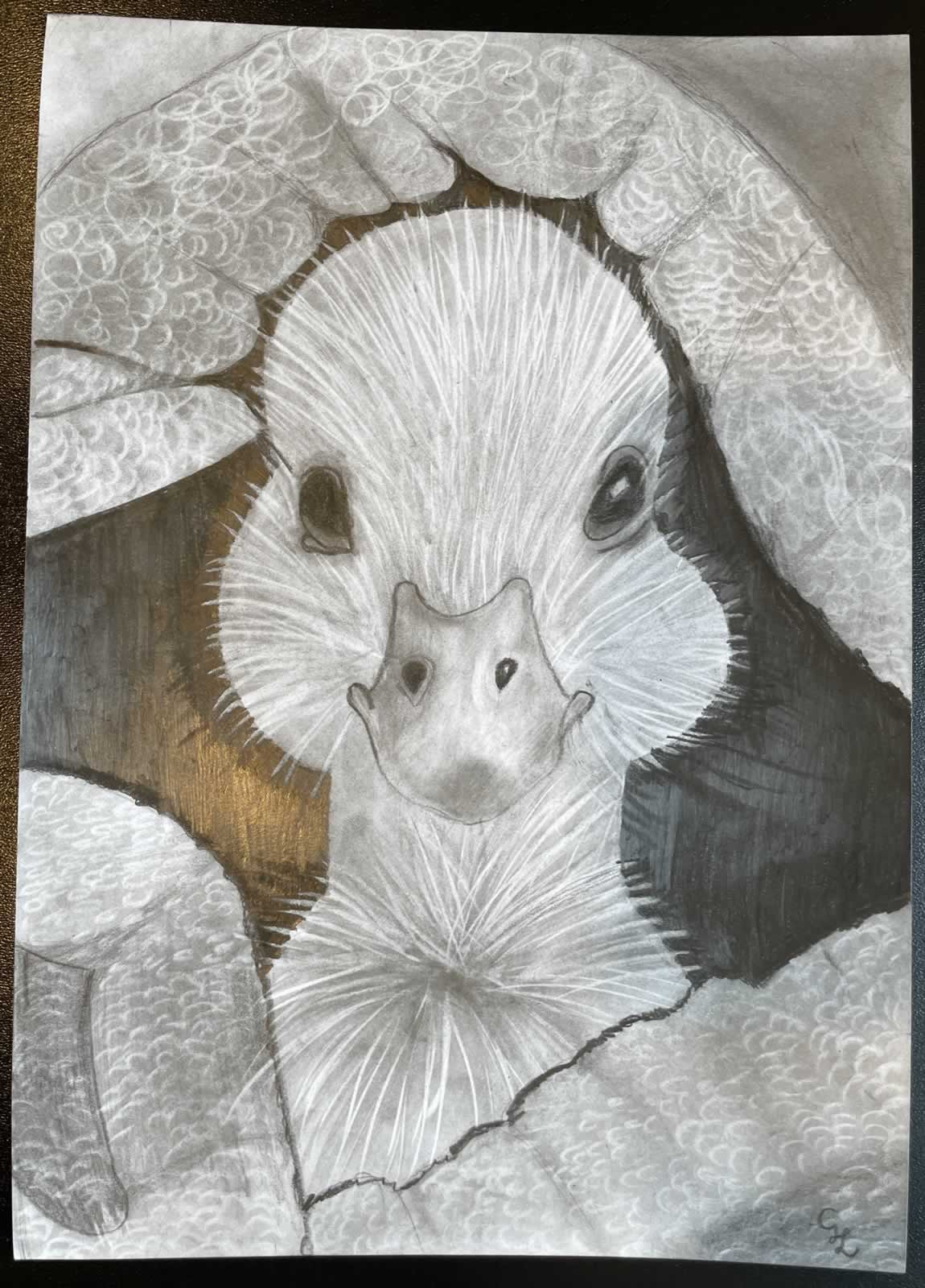 Grafit_rajztanfolyam-Sarvar-2026-01-24_11