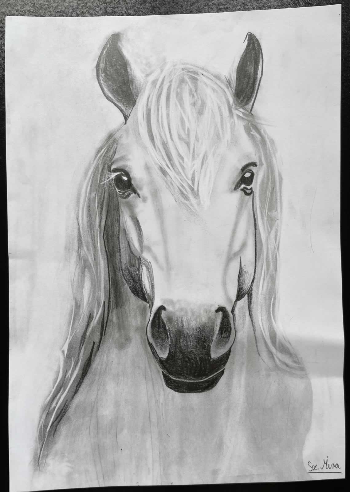 Grafit_rajztanfolyam-Godollo-2026-02-14_01