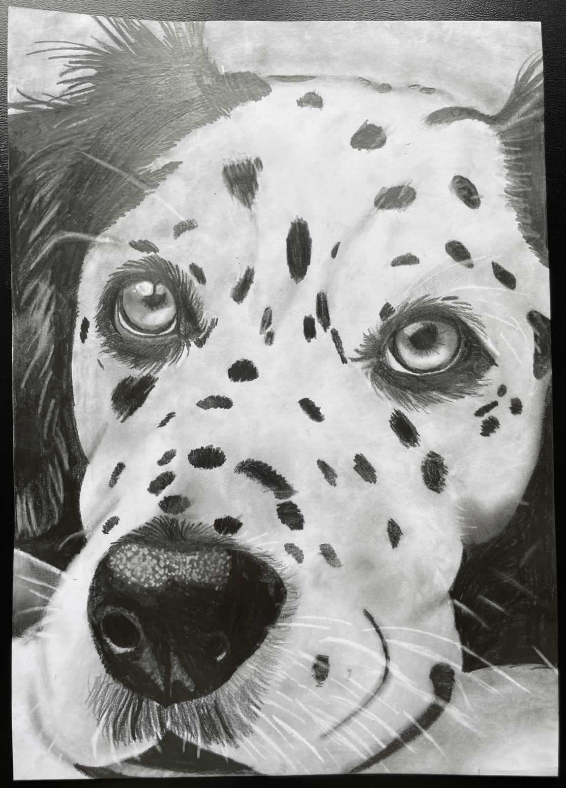 Grafit_rajztanfolyam-Godollo-2026-02-14_03