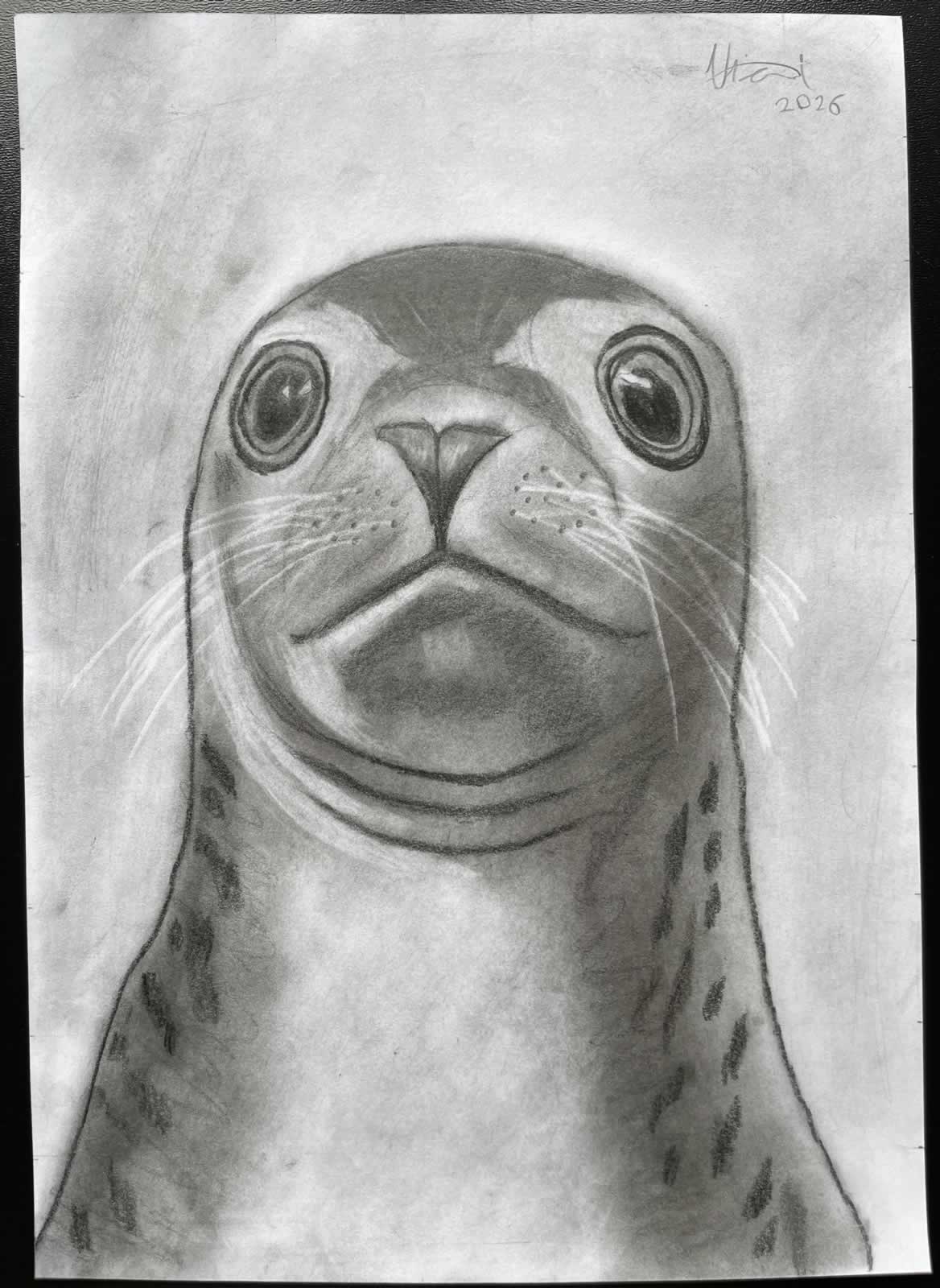 Grafit_rajztanfolyam-Godollo-2026-02-14_05