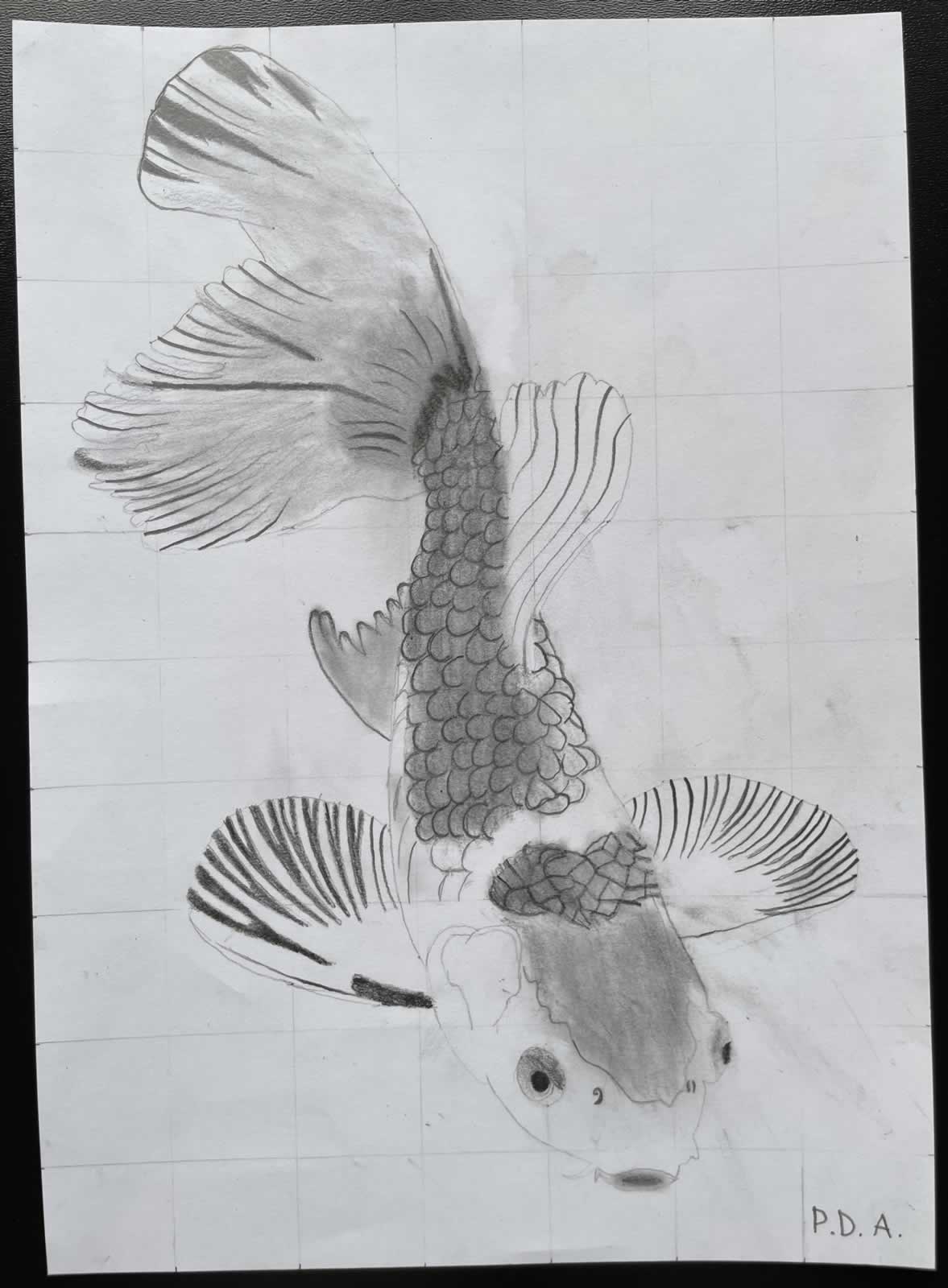 Grafit_rajztanfolyam-Godollo-2026-02-14_06