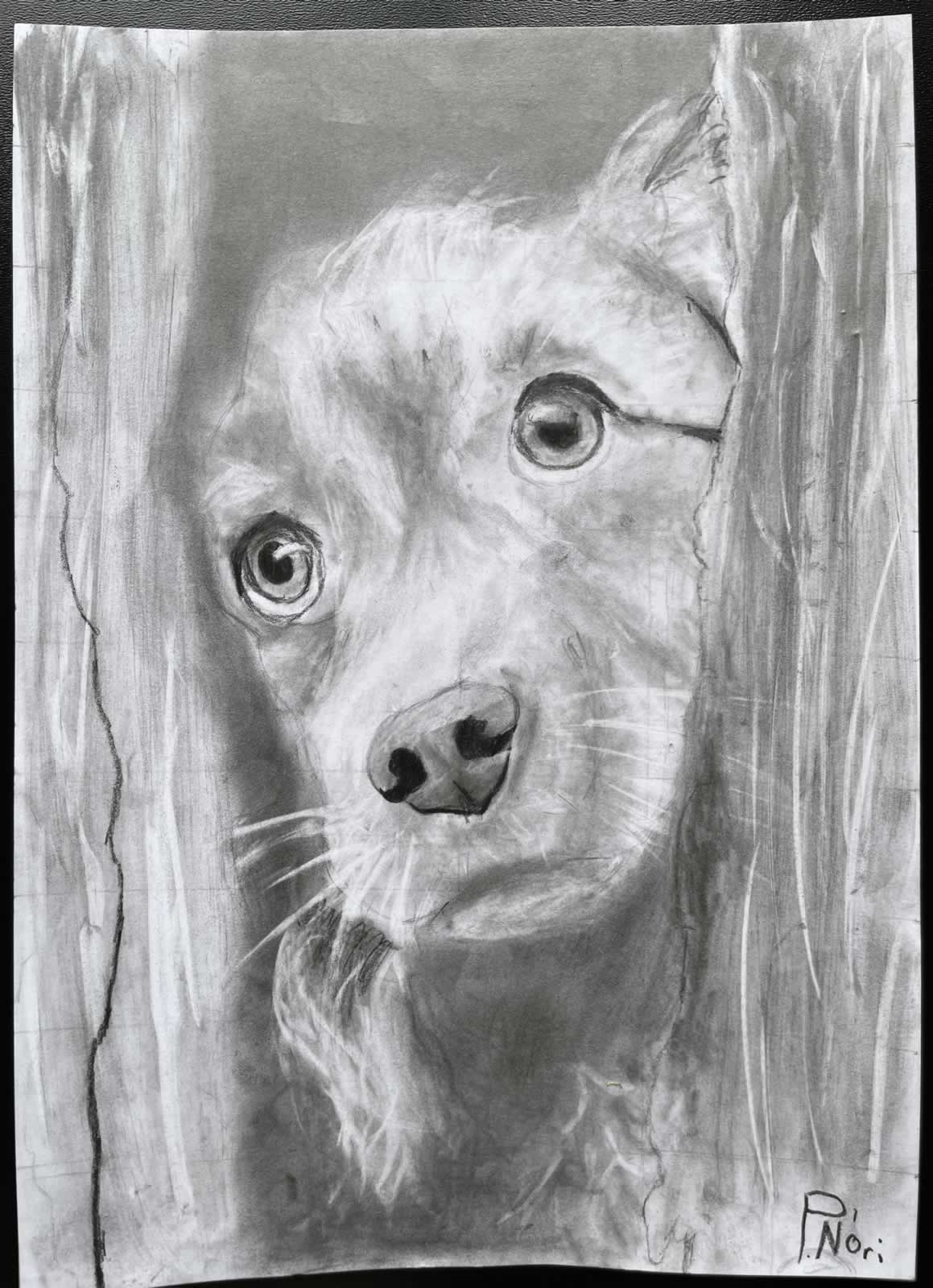 Grafit_rajztanfolyam-Godollo-2026-02-14_14