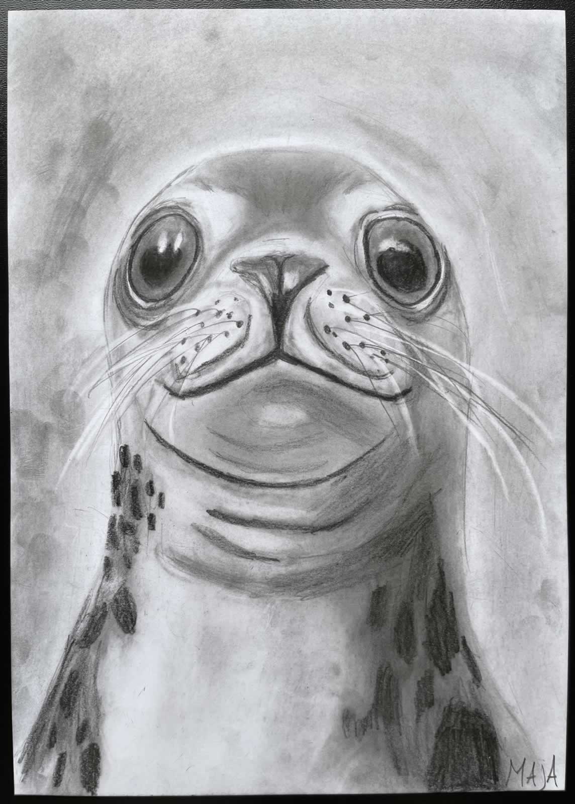 Grafit_rajztanfolyam-Godollo-2026-02-14_15