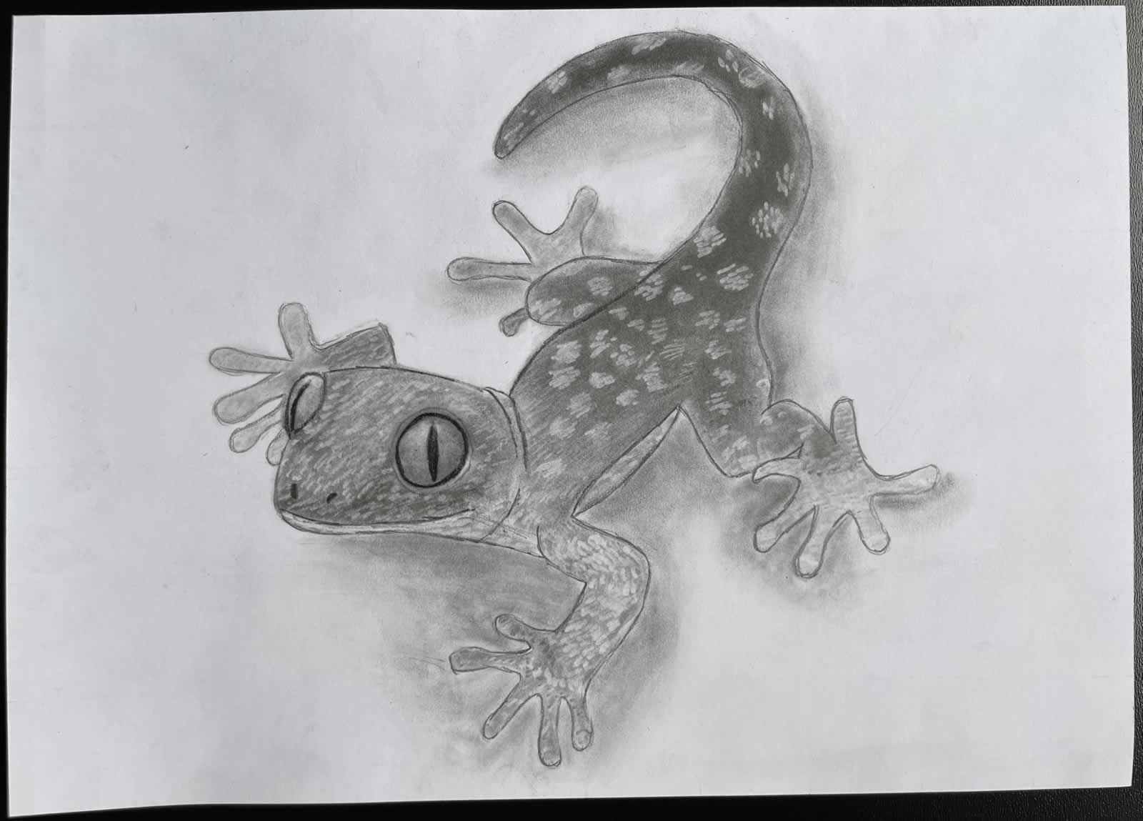 Grafit_rajztanfolyam-Godollo-2026-02-14_24