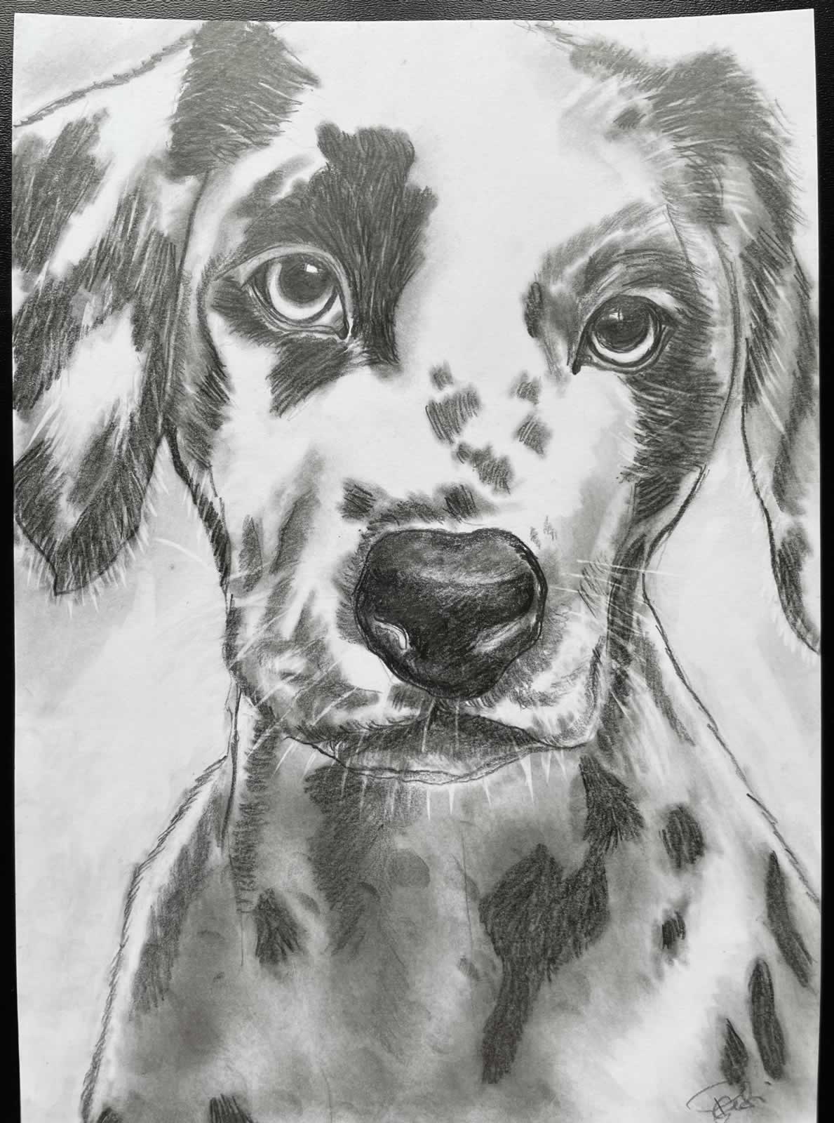 Grafit_rajztanfolyam-Godollo-2026-02-14_25