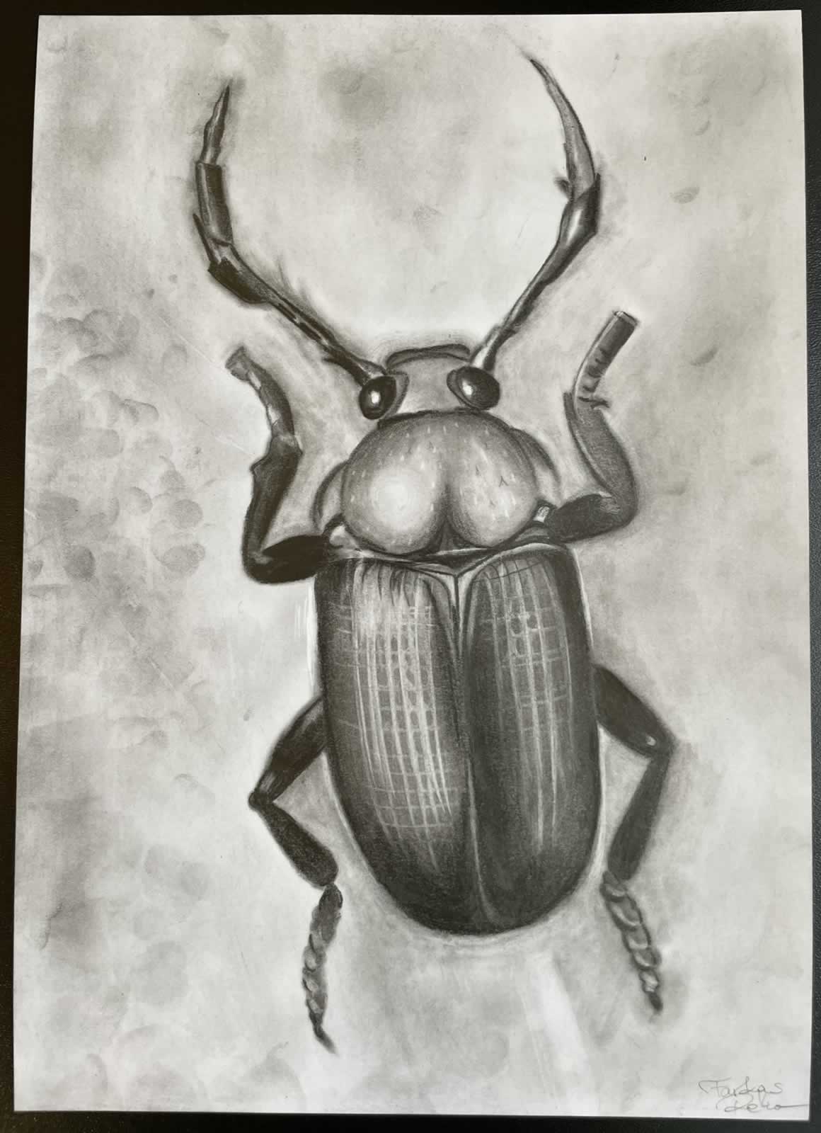 Grafit_rajztanfolyam-Kiskunfelegyhaza-2026-02-08_01