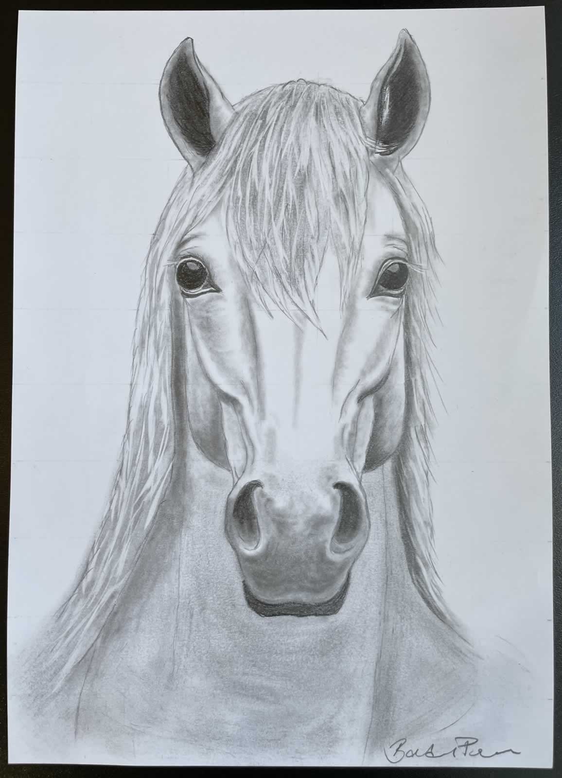 Grafit_rajztanfolyam-Kiskunfelegyhaza-2026-02-08_07