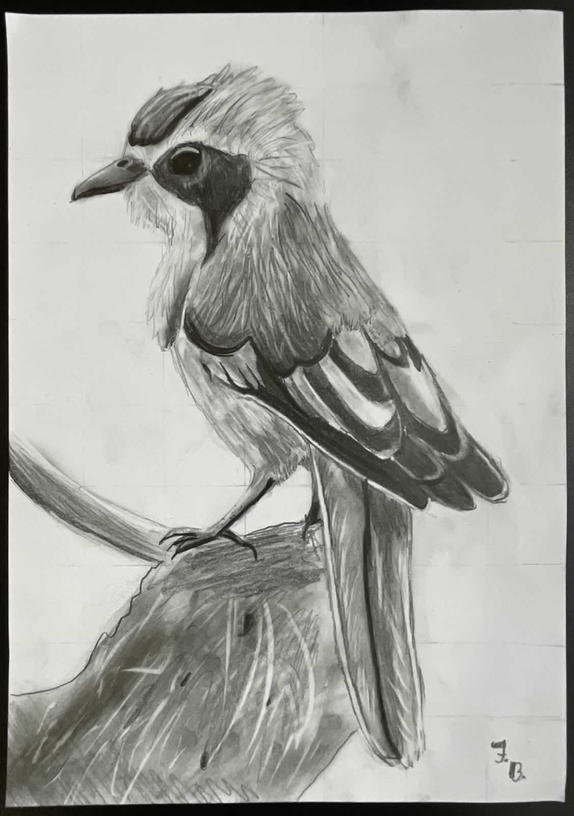 Grafit_rajztanfolyam-Kiskunfelegyhaza-2026-02-08_15