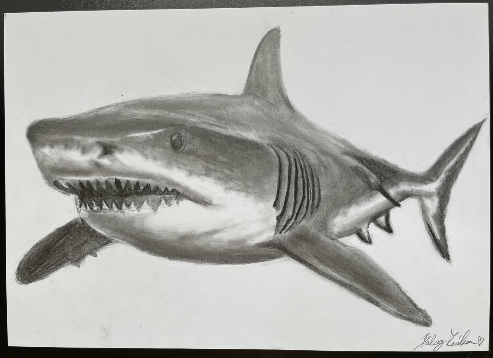 Grafit_rajztanfolyam-Kiskunfelegyhaza-2026-02-08_18