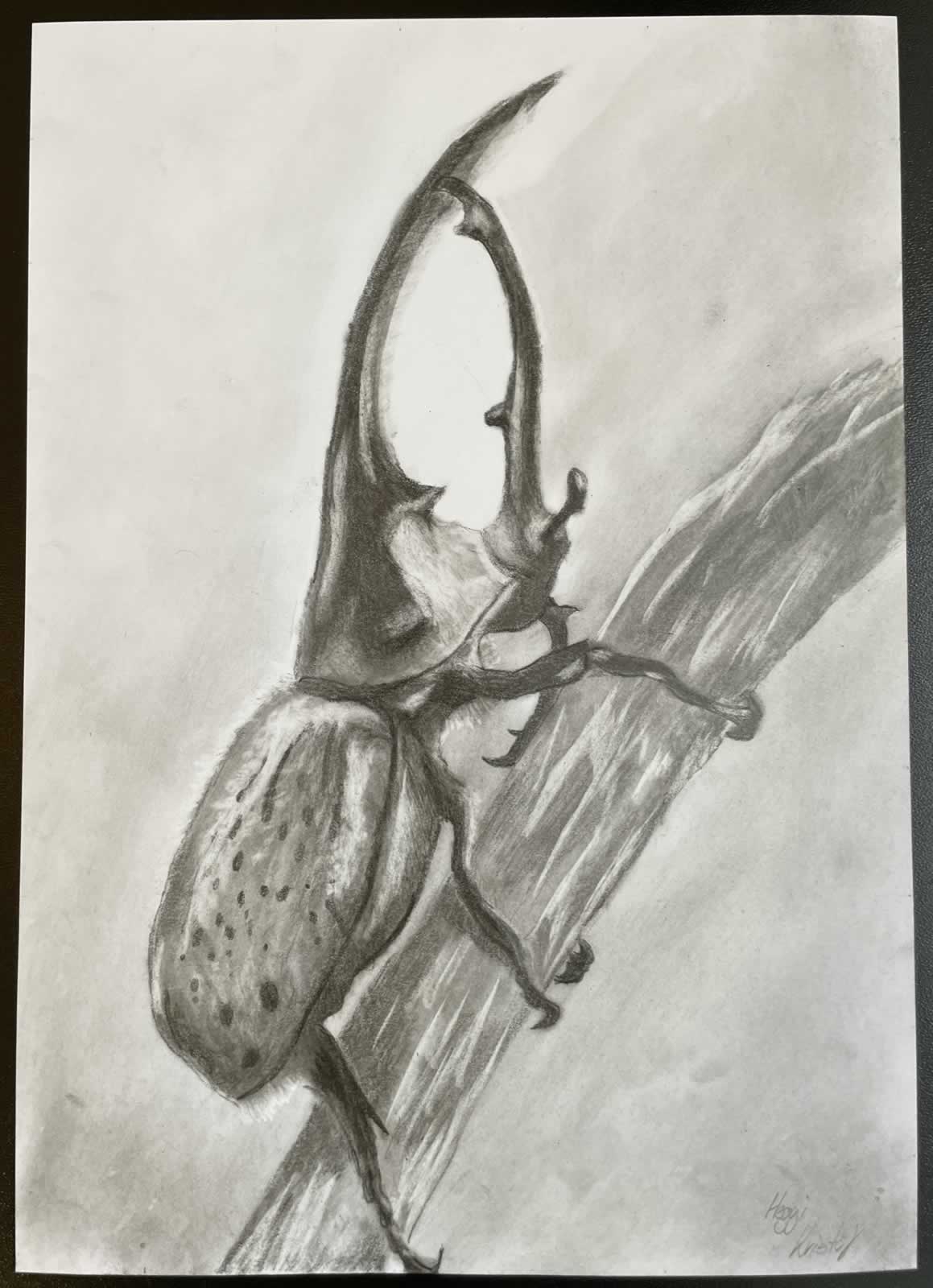 Grafit_rajztanfolyam-Kiskunfelegyhaza-2026-02-08_19