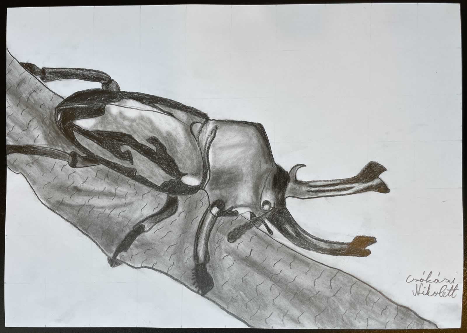 Grafit_rajztanfolyam-Dunaharaszti-2026-03-01_01