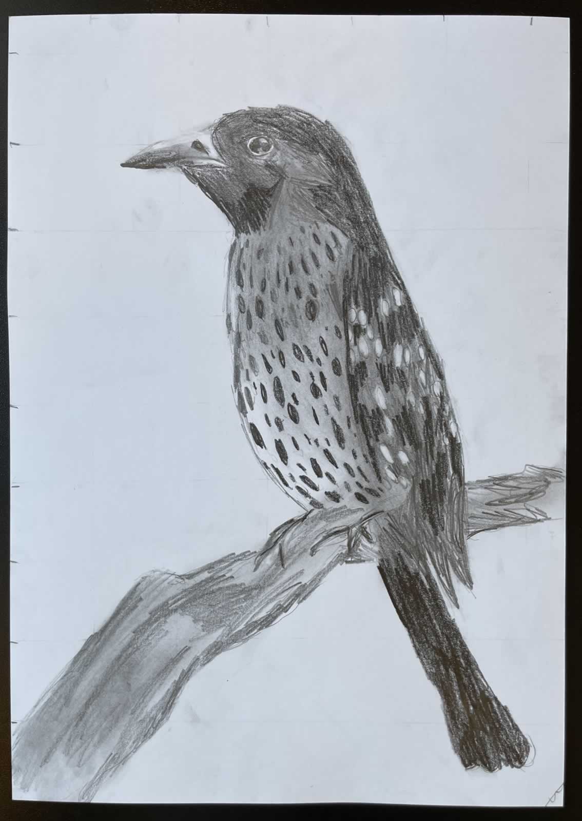 Grafit_rajztanfolyam-Dunaharaszti-2026-03-01_05