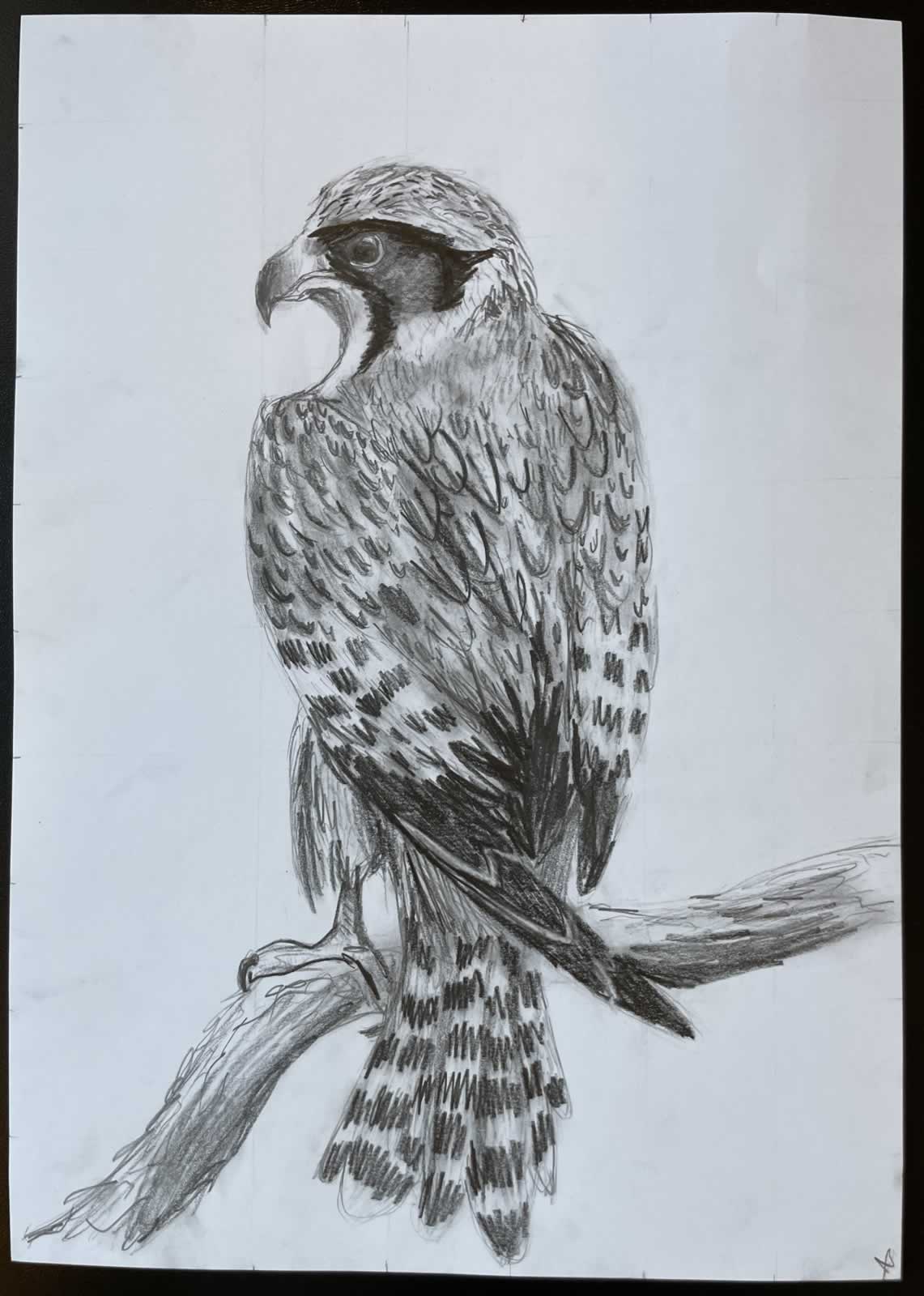 Grafit_rajztanfolyam-Dunaharaszti-2026-03-01_06