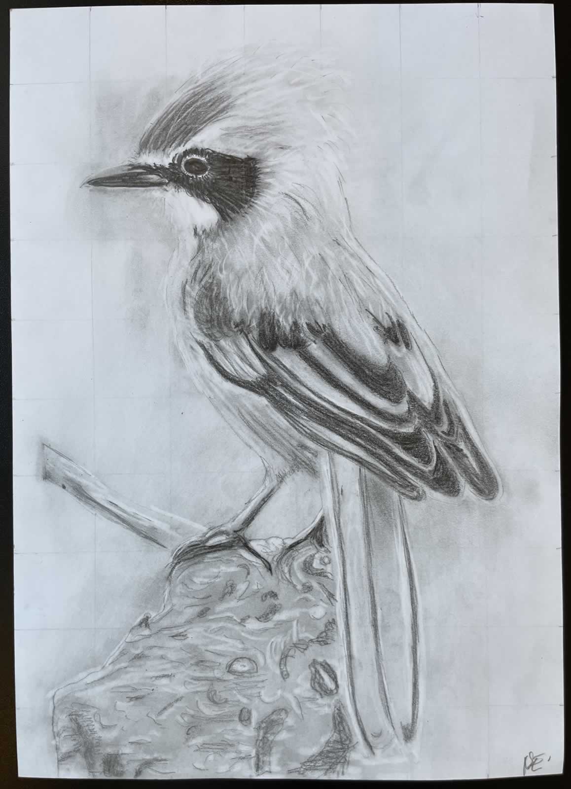 Grafit_rajztanfolyam-Dunaharaszti-2026-03-01_07