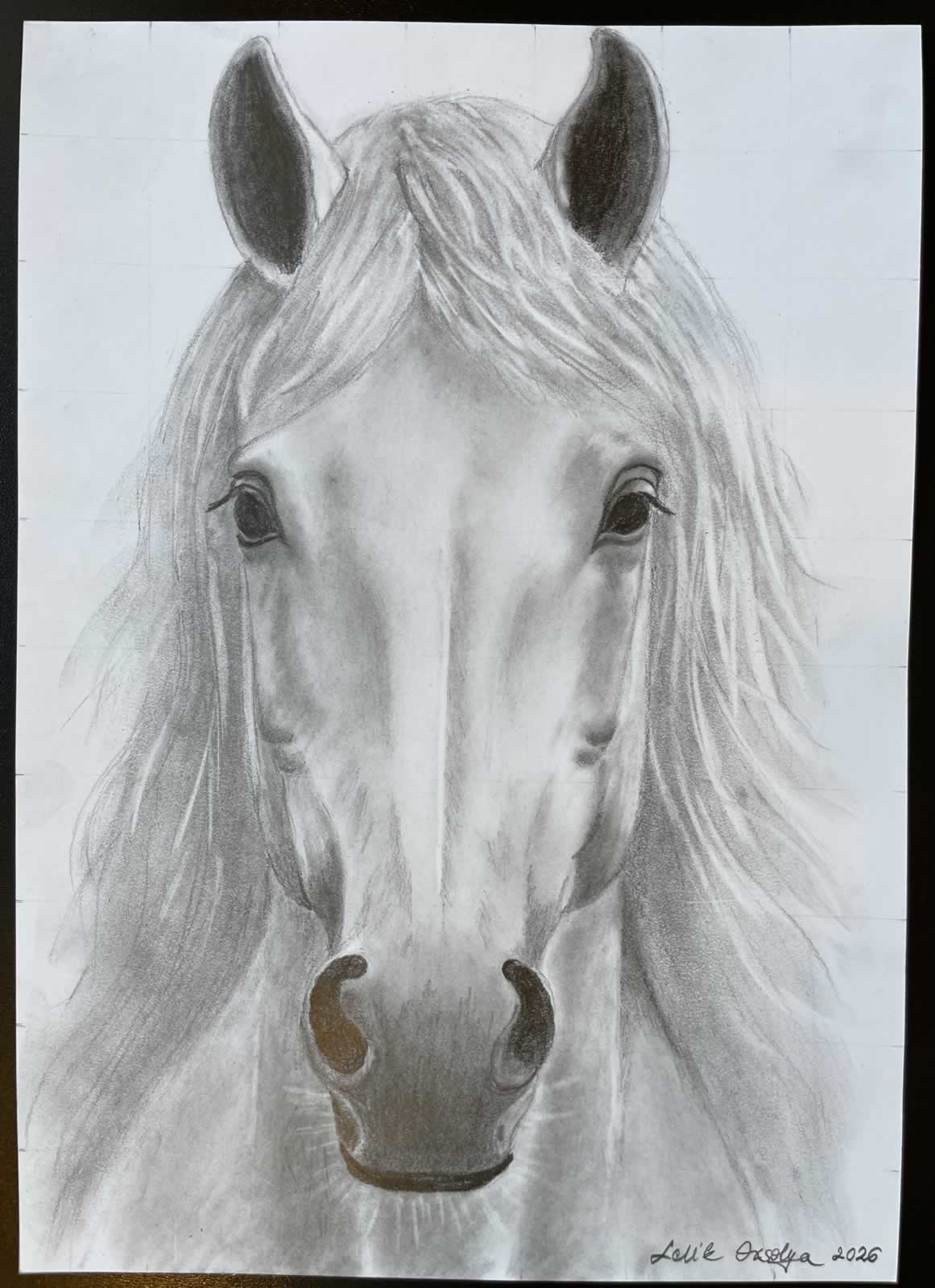 Grafit_rajztanfolyam-Dunaharaszti-2026-03-01_08