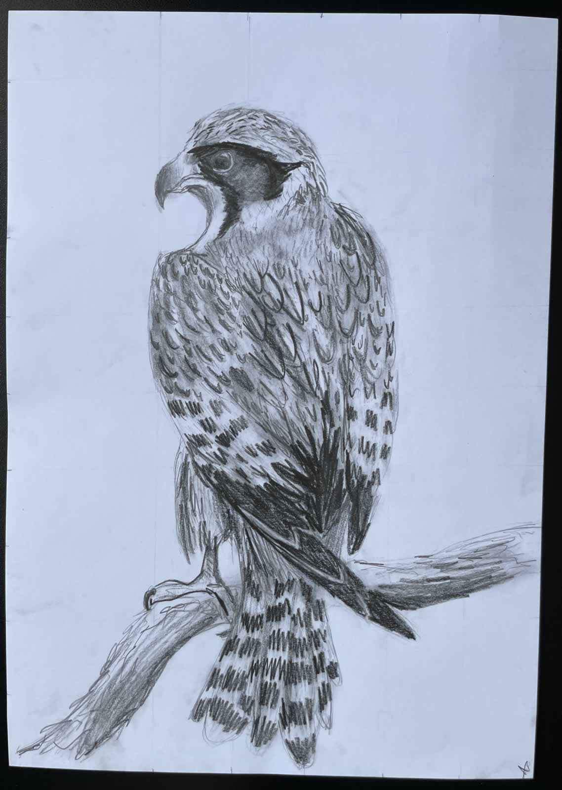 Grafit_rajztanfolyam-Dunaharaszti-2026-03-01_22